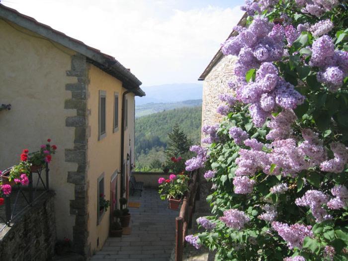 Отель Borgo Tramonte Пратовеккьо Экстерьер фото